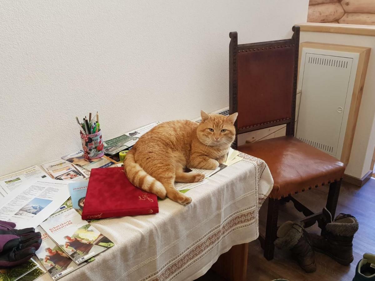Ferienhof Schelchen Hollenstein an der Ybbs Εξωτερικό φωτογραφία