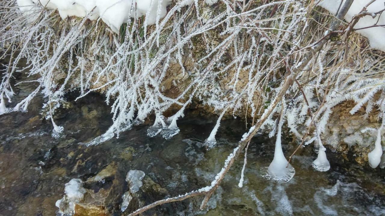 Ferienhof Schelchen Hollenstein an der Ybbs Εξωτερικό φωτογραφία